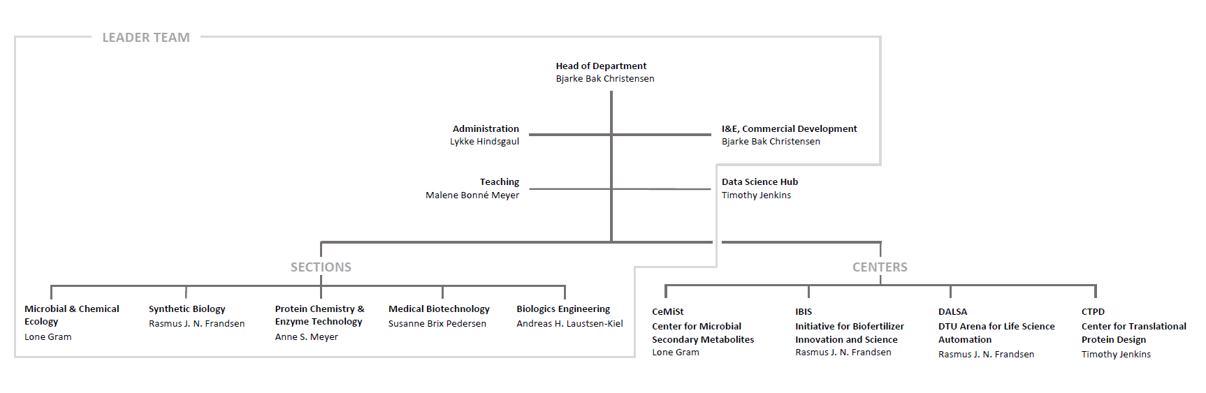 DTU Bioengineering Organizational Chart