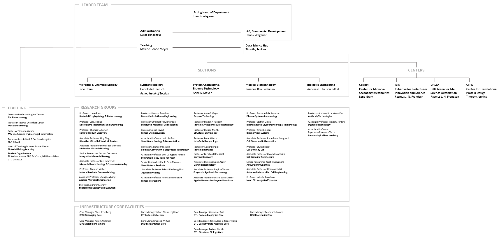 DTU Bioengineering organizational chart - png