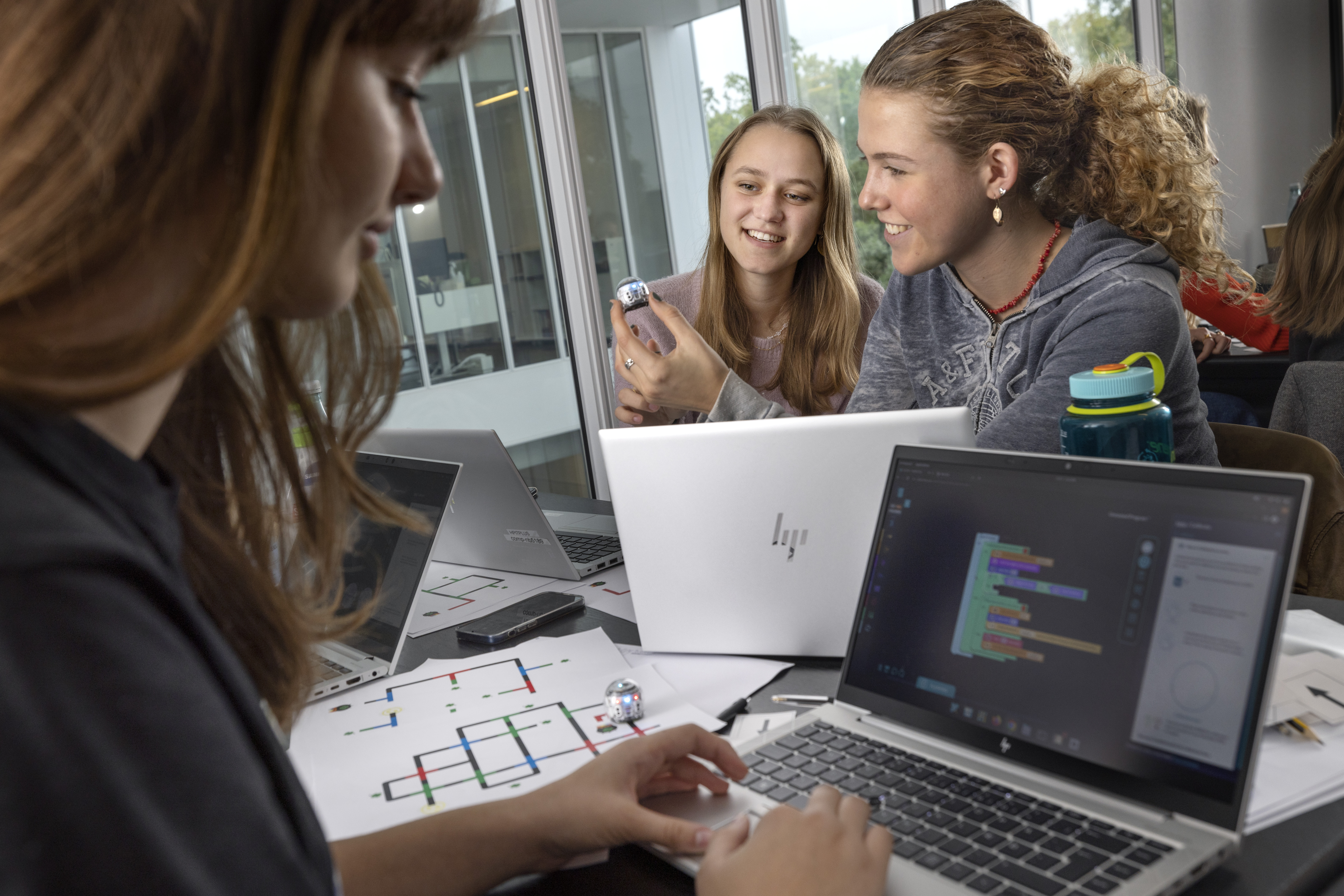 Girls working at the computer