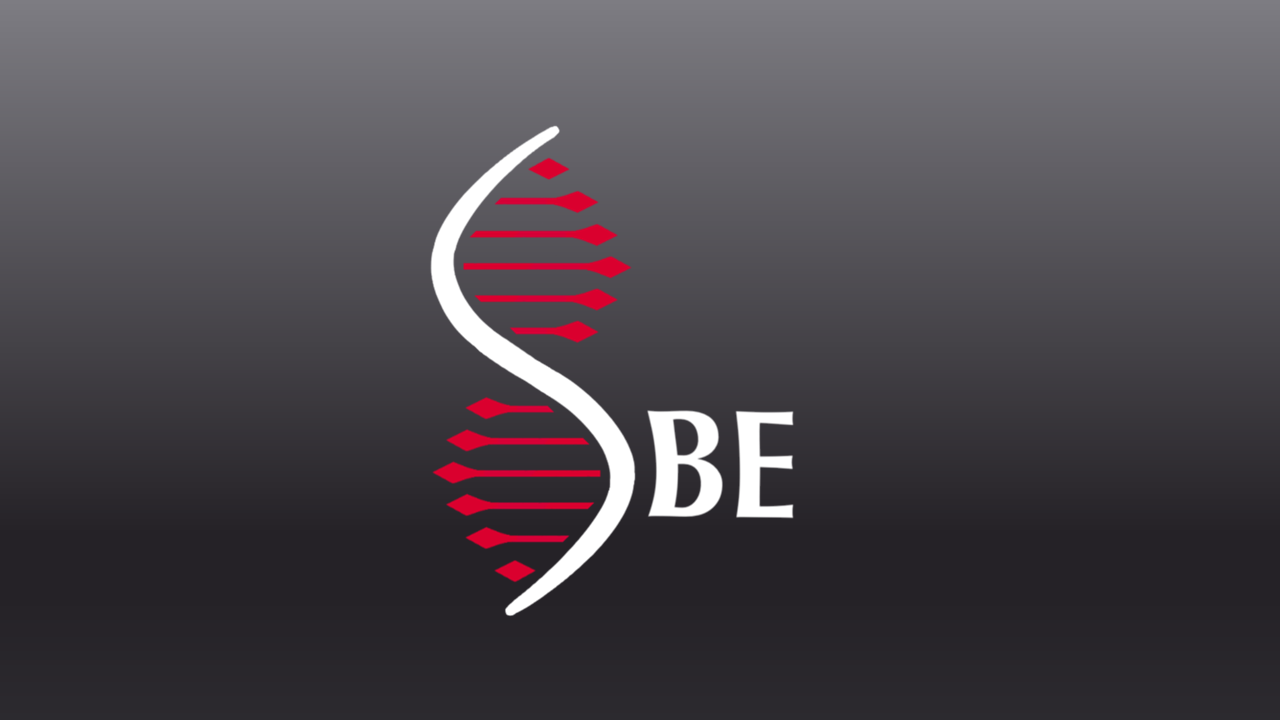 SBE logo on gray background