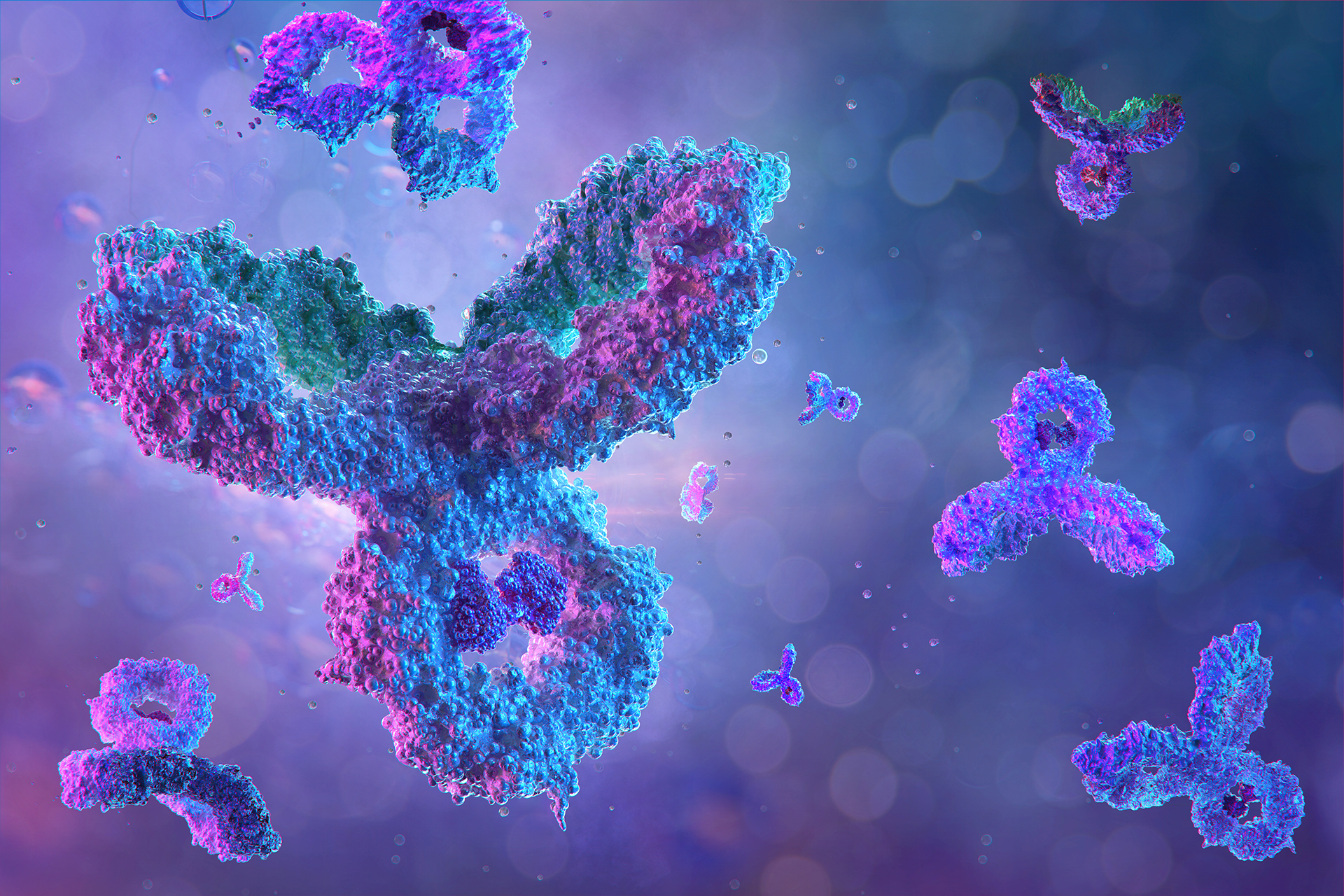 Purple antibodies