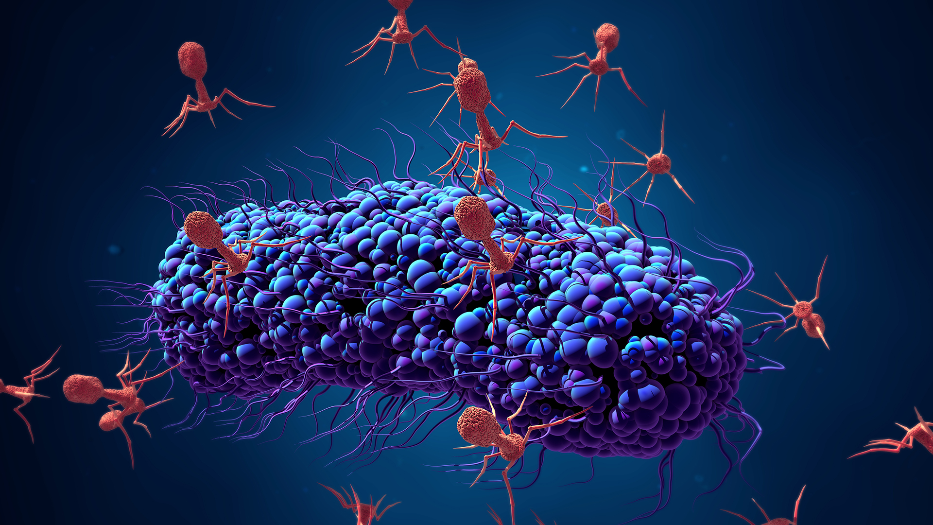 Phages on bacterium on a blue background