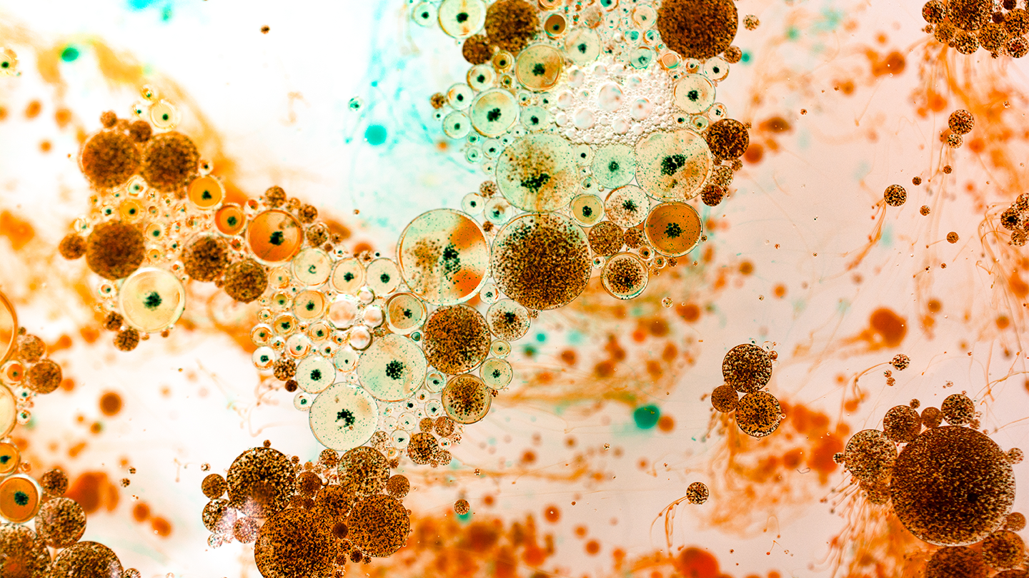 A microscopic closeup of bacteria and microbes