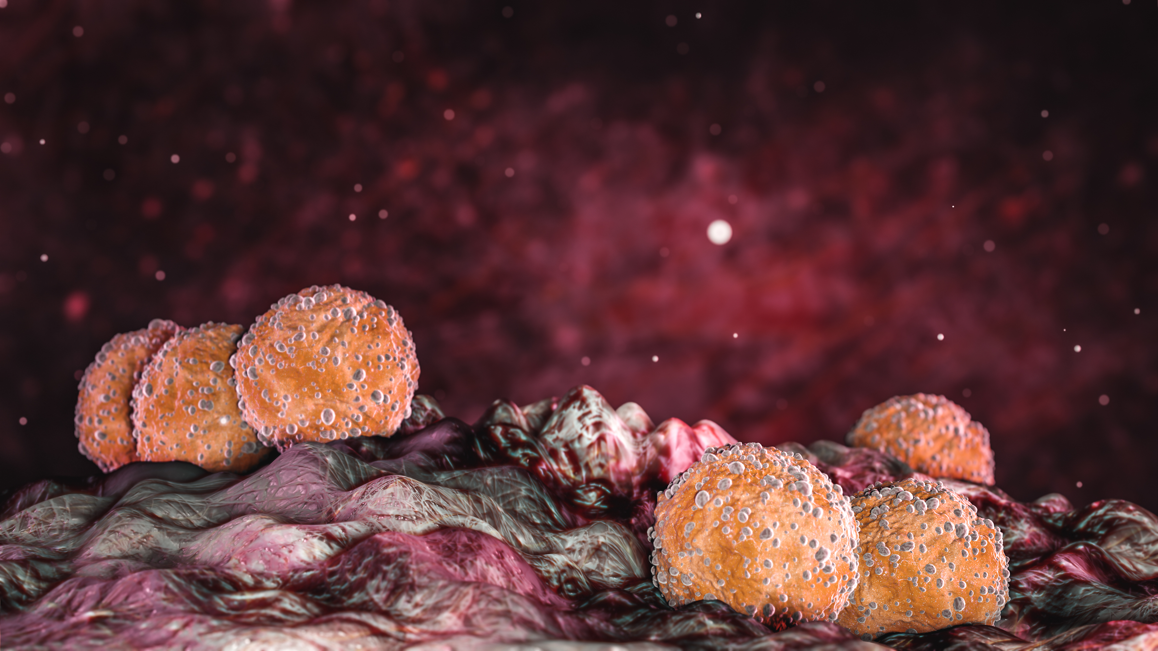 Science Photo of bacteria staphylococcus aureus