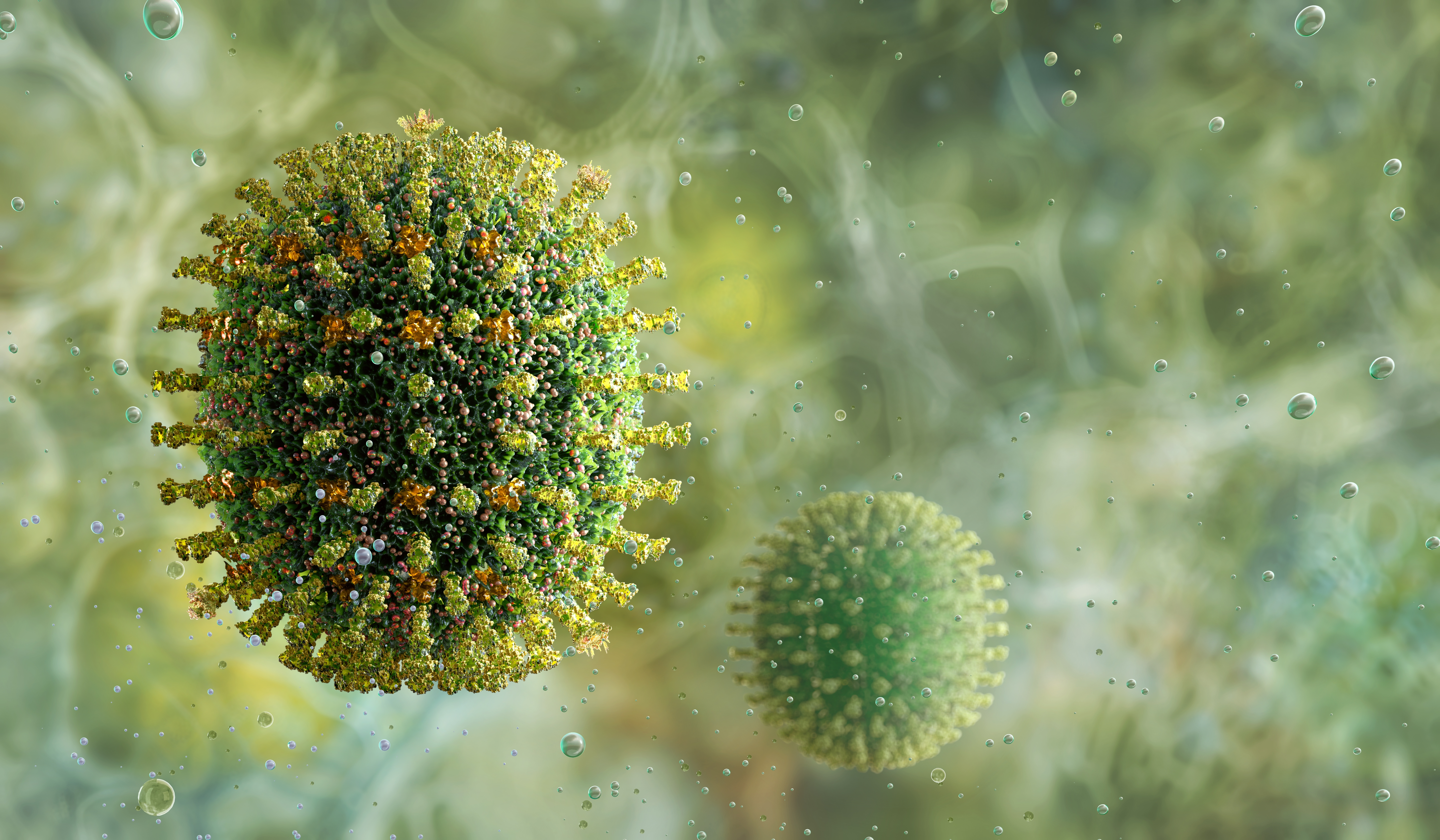 Influenza virus attacking human cell