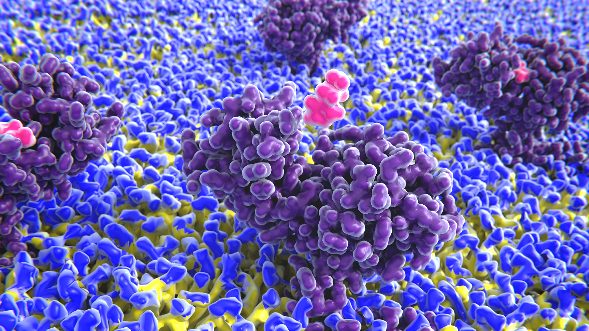 Histamin binding to the histamine receptor. Histamine is involved in immune responses. 3D rendering ©Shutterstock Histamin binding to the histamine receptor. Histamine is involved in immune responses. 3D rendering