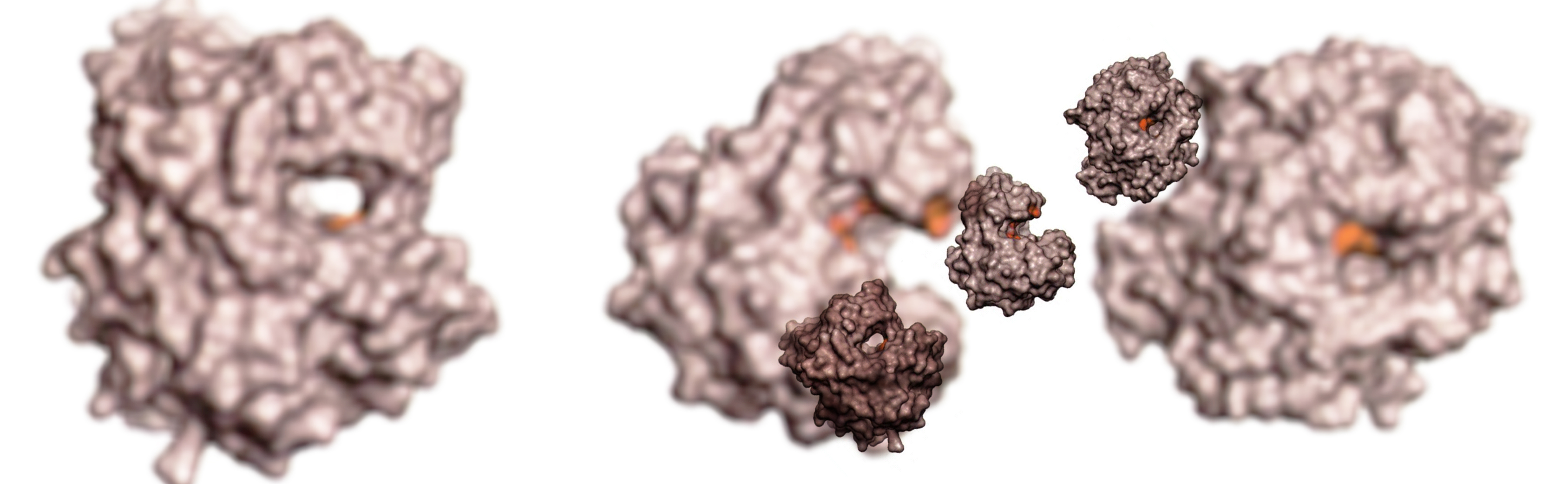 Enzymes