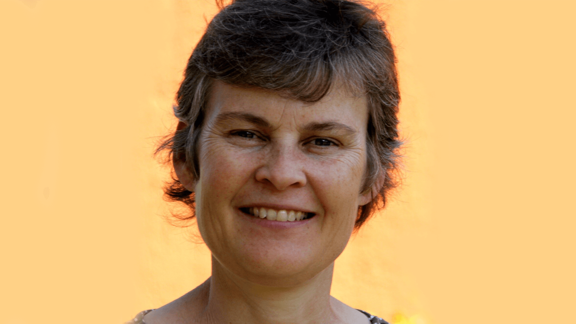 Anne S Meyer