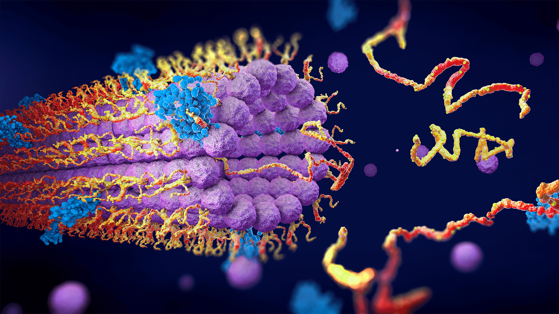 Protein enzymes fold into their structure to fulfill their function - 3d illustration