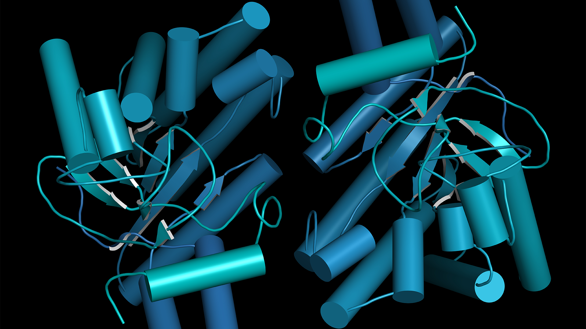 Cellulase (Endoglucanase Cel6B from Humicola insolens) cellulose breakdown enzyme