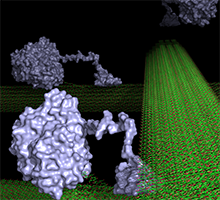 Science illustration