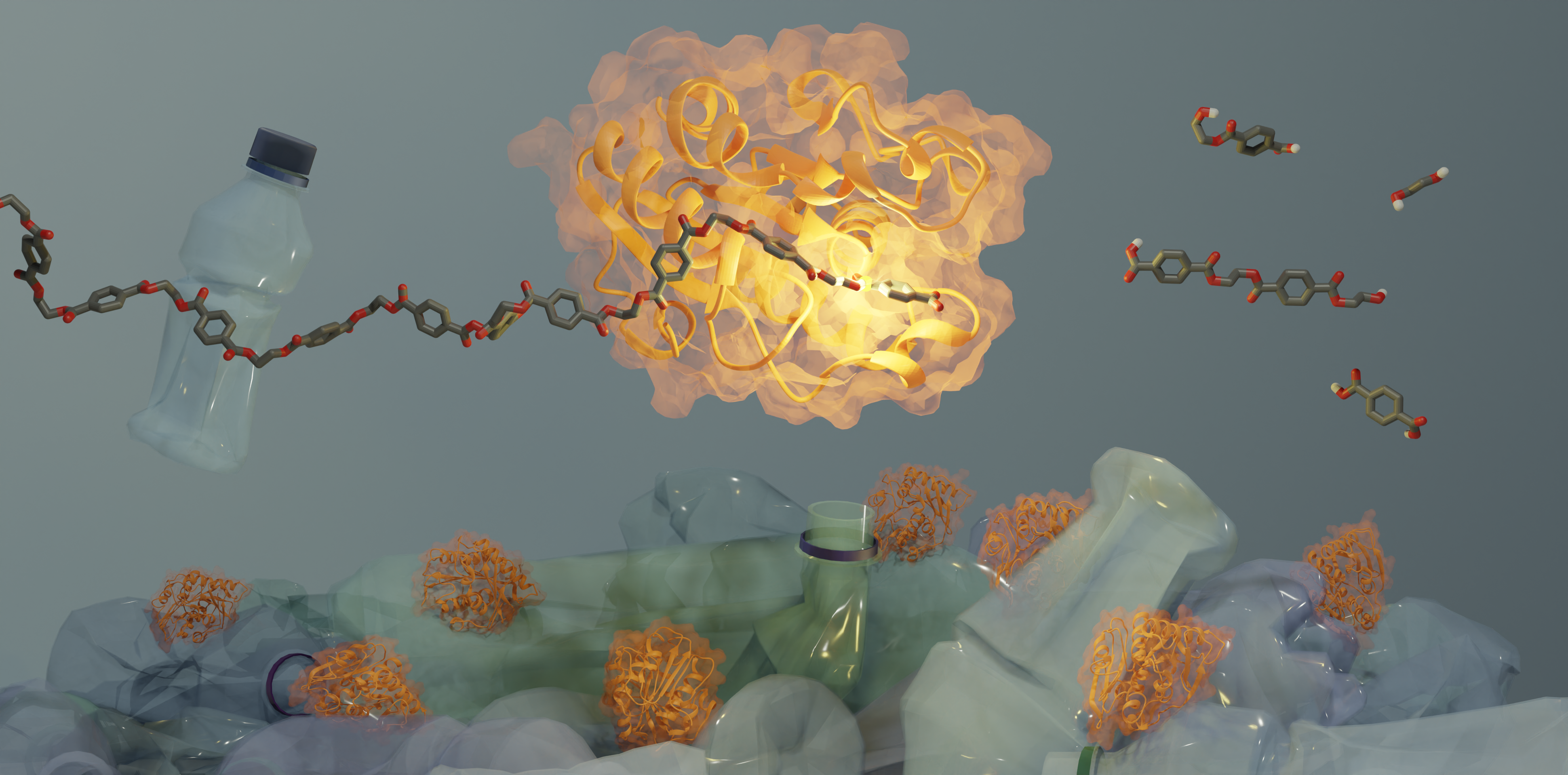 Plastic waste and enzymes
