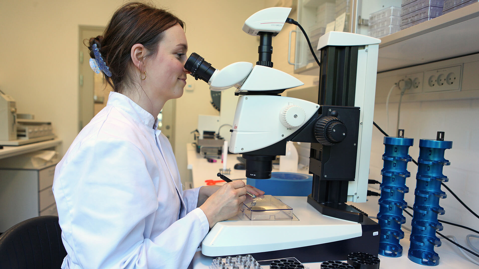 Scientist working in the lab