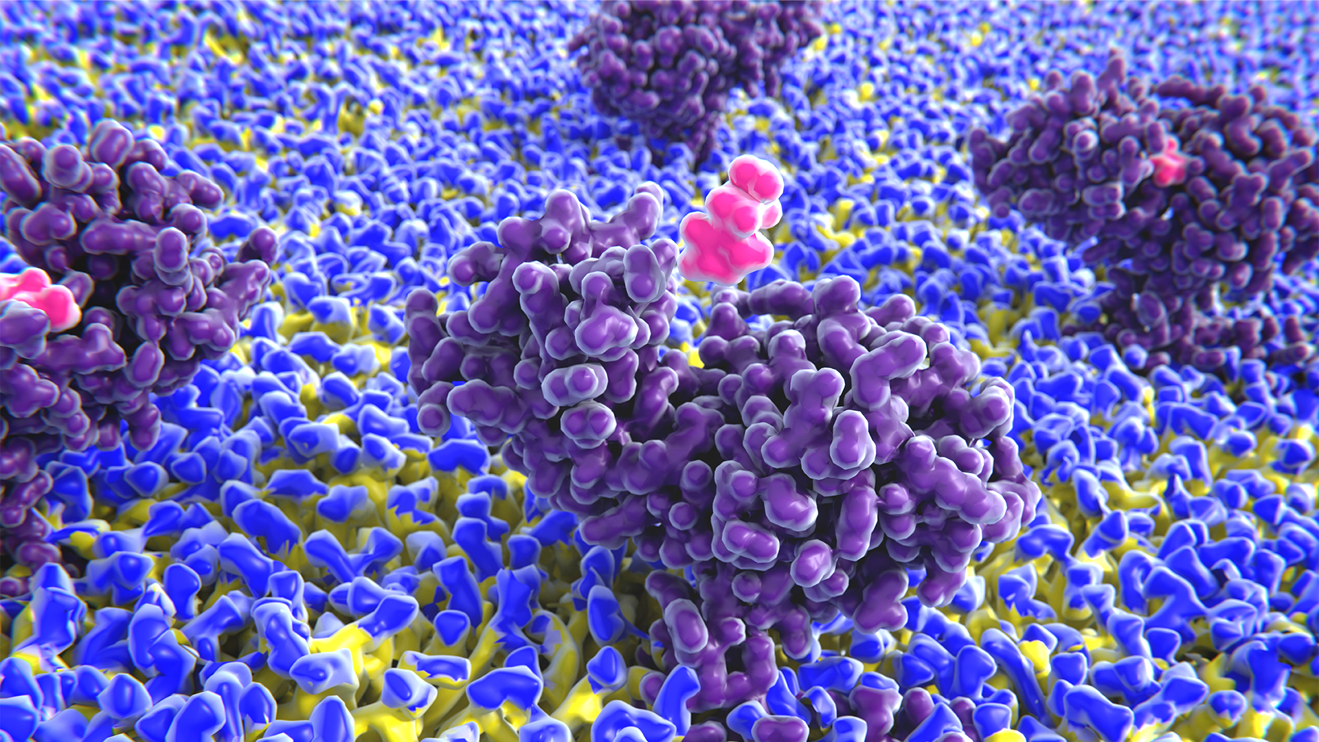 Histamin binding to the histamine receptor. Histamine is involved in immune responses. 3D rendering