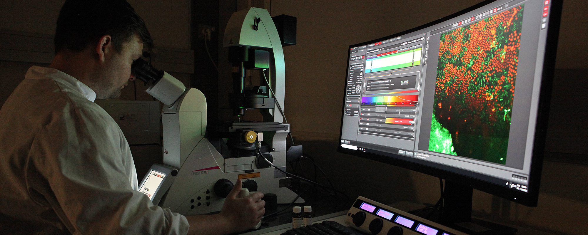 Scientist in the lab