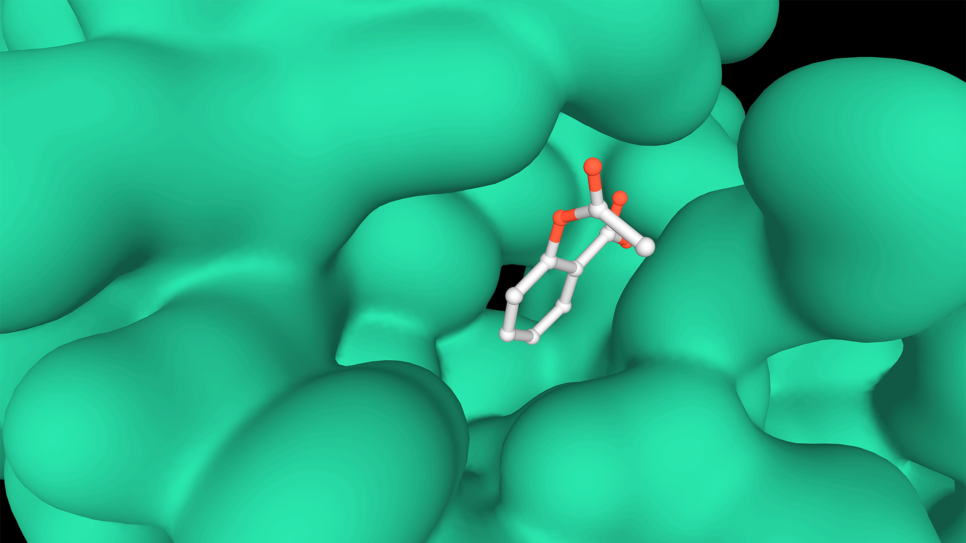 Bioimaging Core