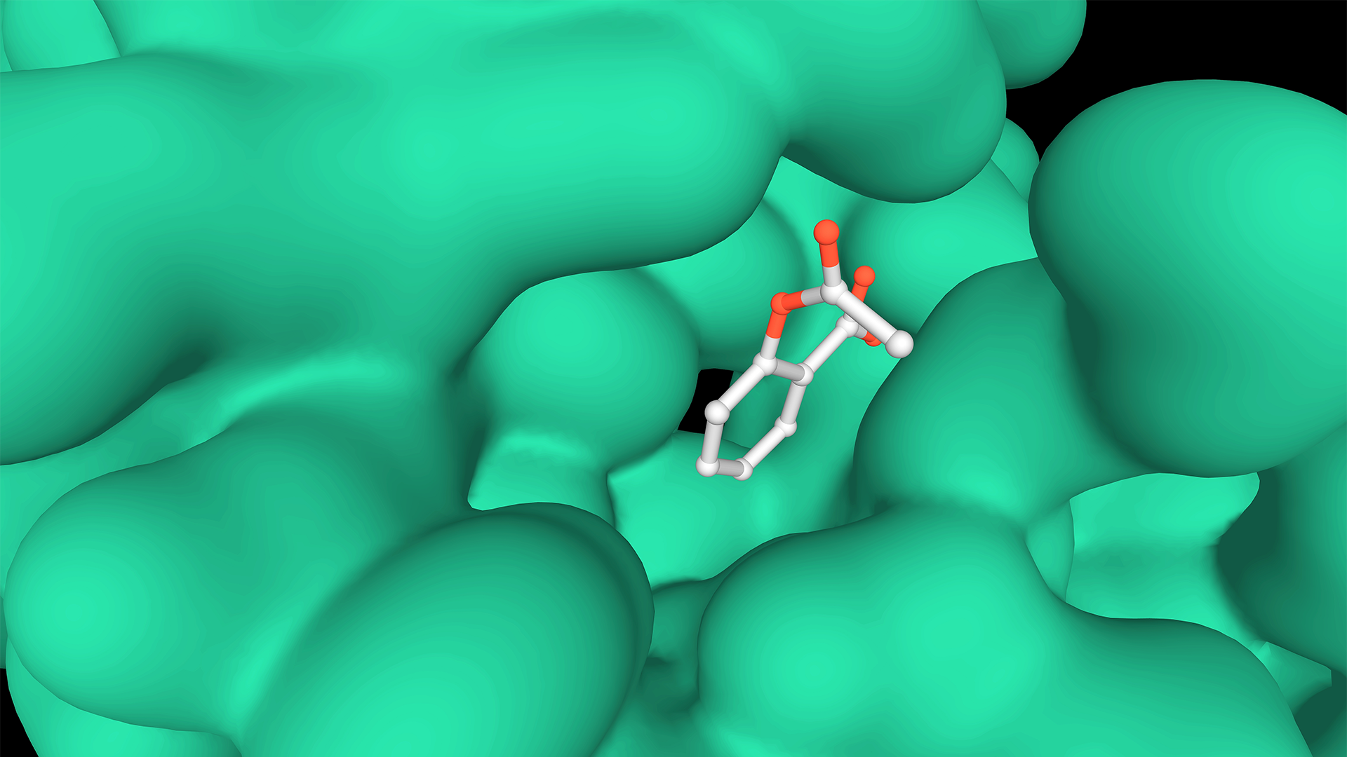 Crystal structure of a complex formed between group II phospholipase A2 (green) and aspirin, 3D model, black background