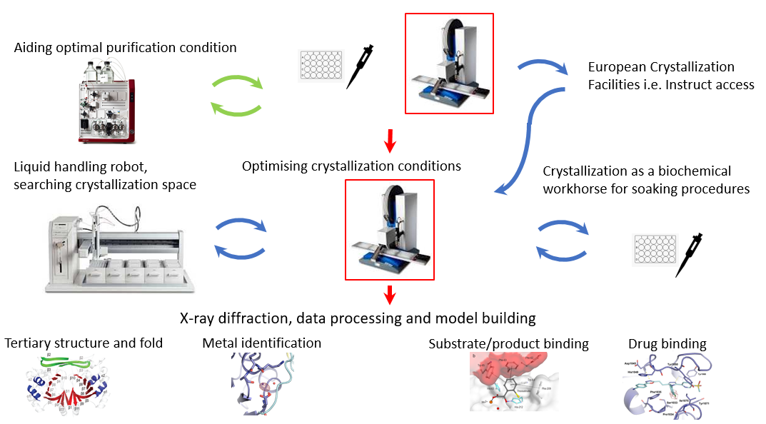 Illustration of the Initial Workflow Conditions