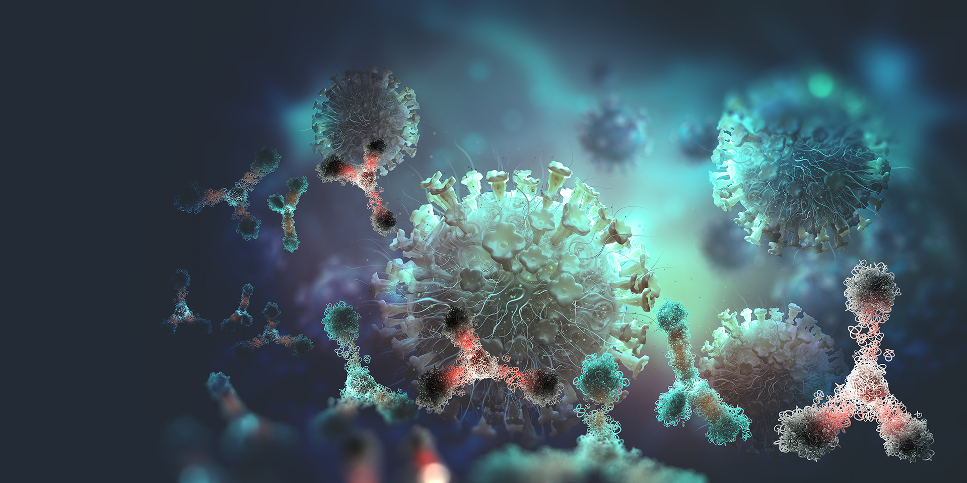 Antibodies