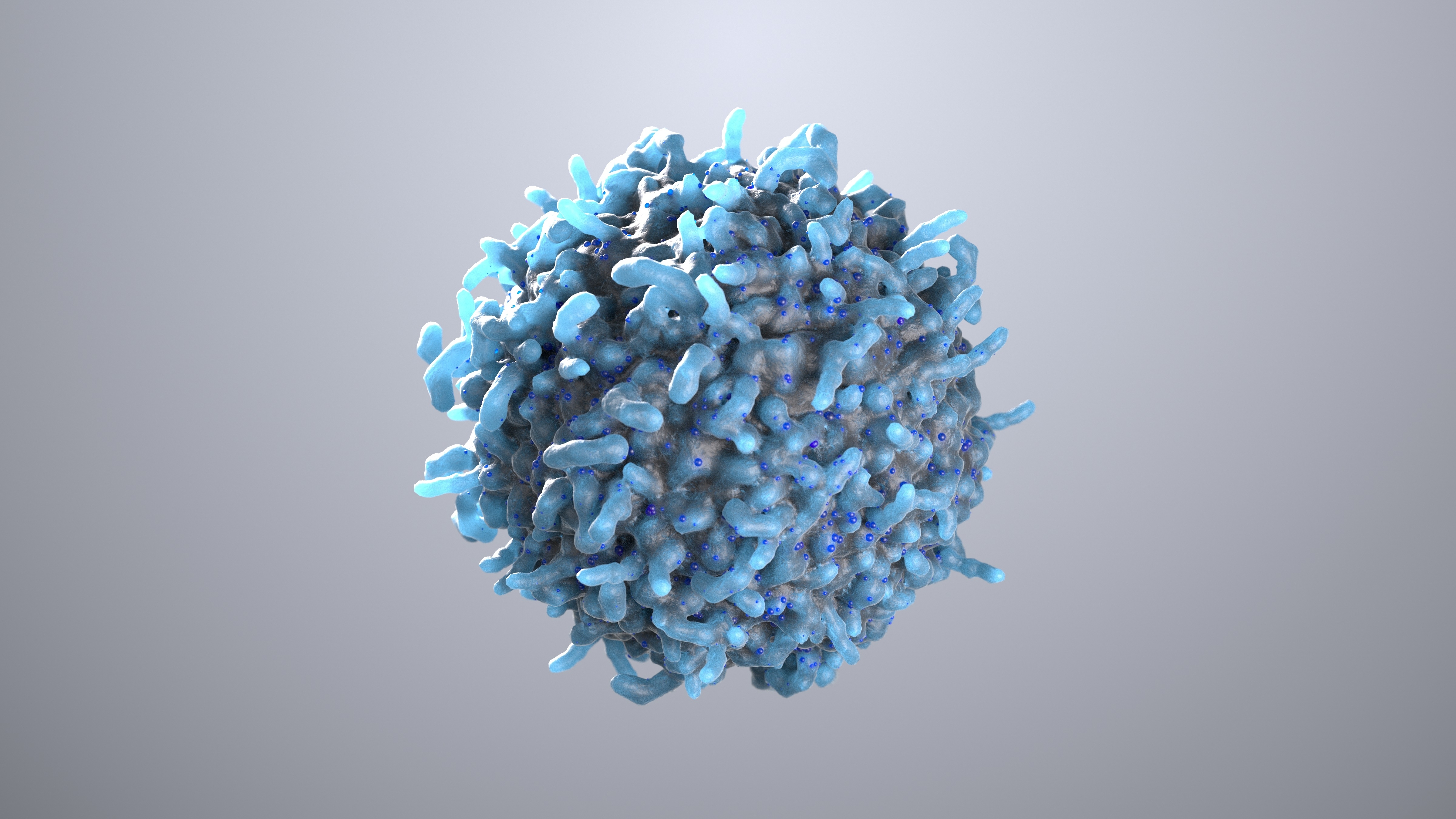 Illustration of a T-cell