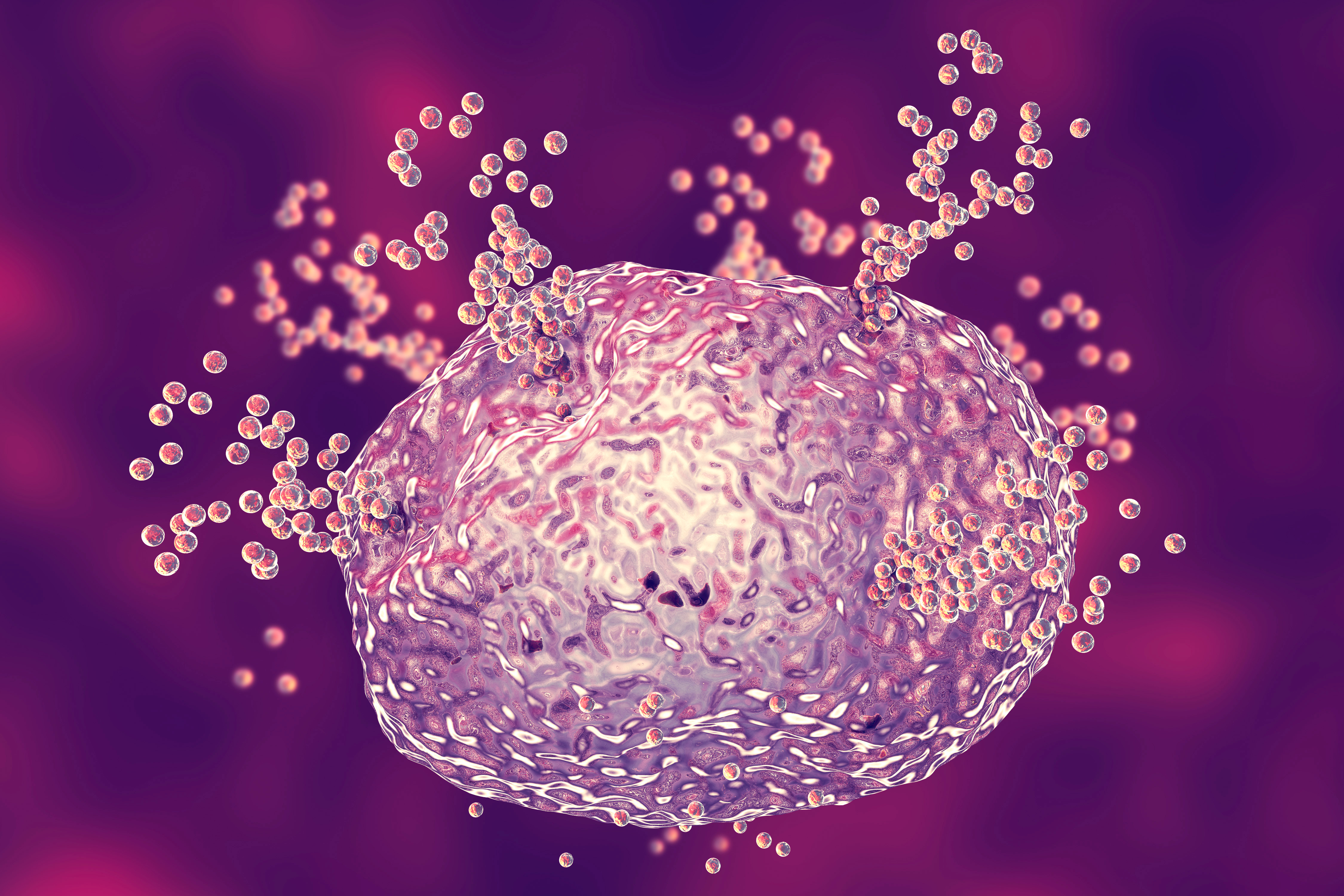 Mast cell releases histamin