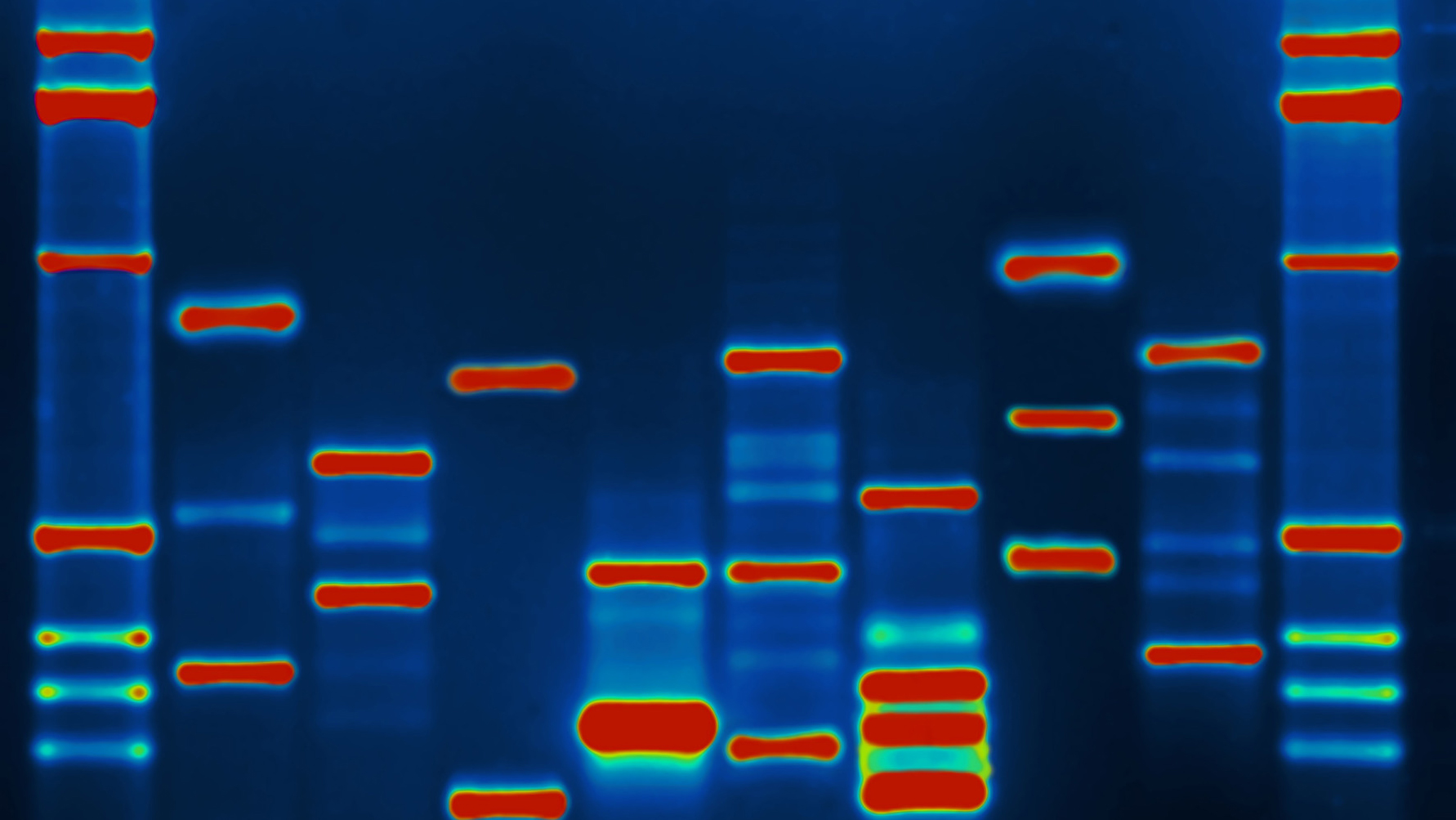 Micah's DNA ©Micahb37 is licensed under CC BY-SA 2.0. Micah's DNA