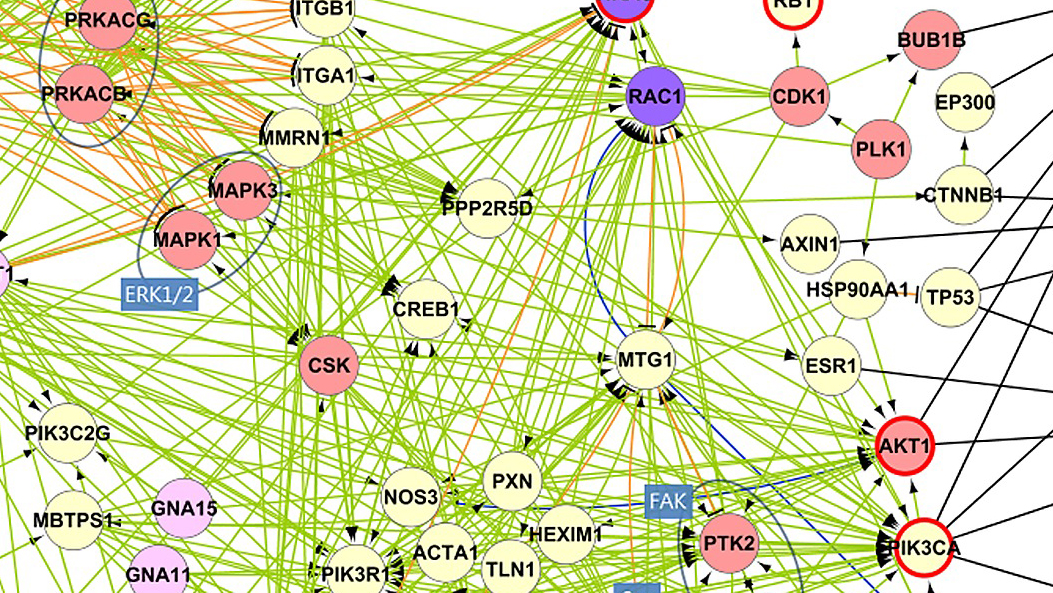 Gene regulatory networks