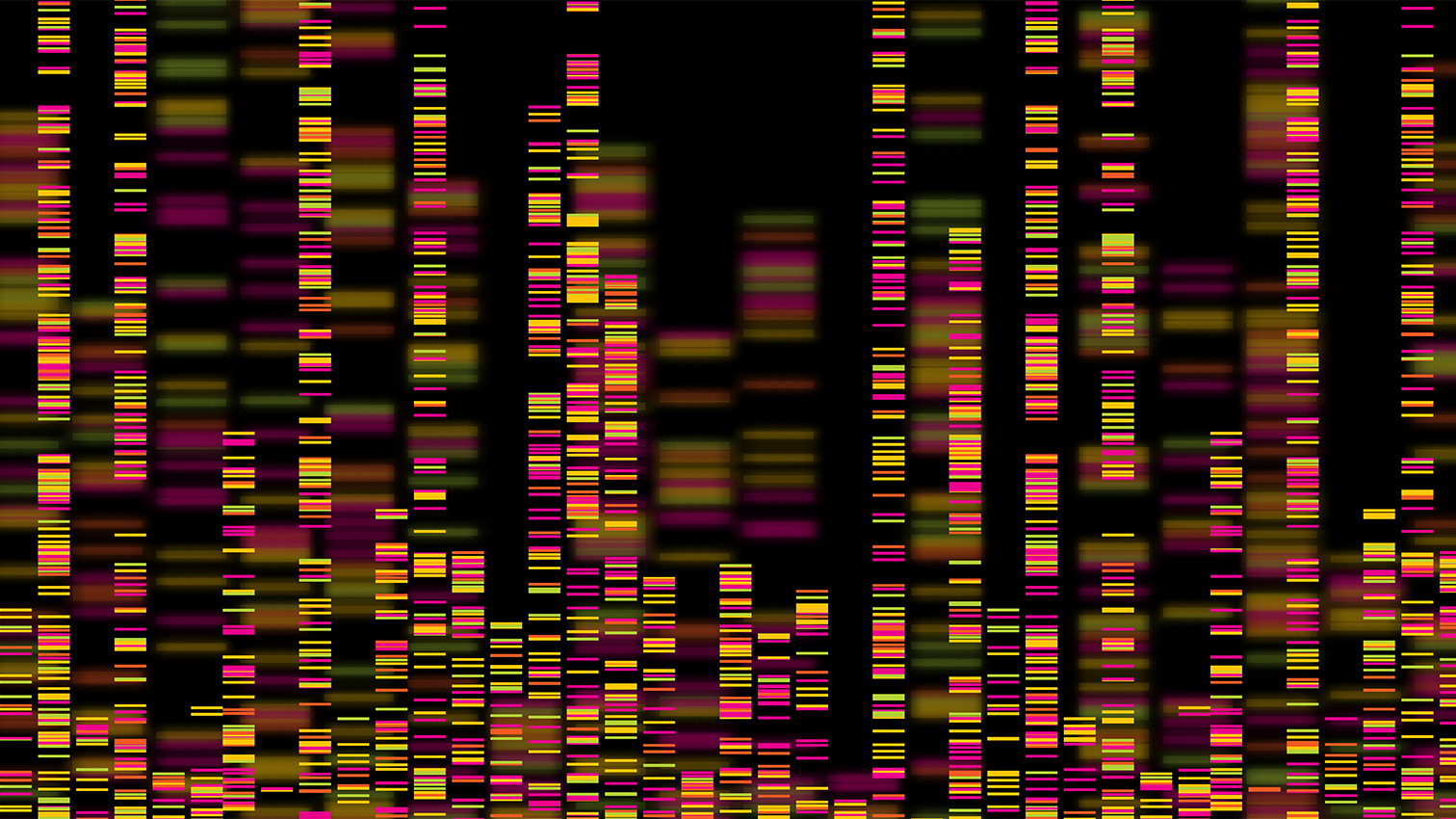 Big Genomic Data Visualization